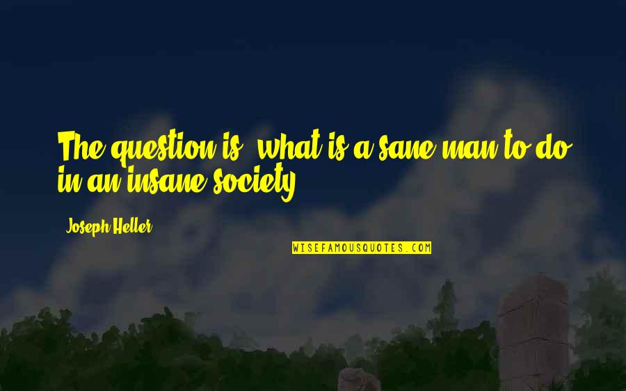 Bioassays Quotes By Joseph Heller: The question is: what is a sane man Bioassays Quotes By Joseph Heller: The question is: what is a sane man