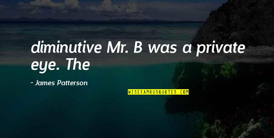 Bioavailability Formula Quotes By James Patterson: diminutive Mr. B was a private eye. The