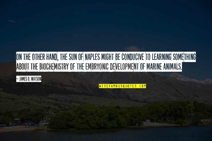 Biochemistry Quotes By James D. Watson: On the other hand, the sun of Naples Biochemistry Quotes By James D. Watson: On the other hand, the sun of Naples