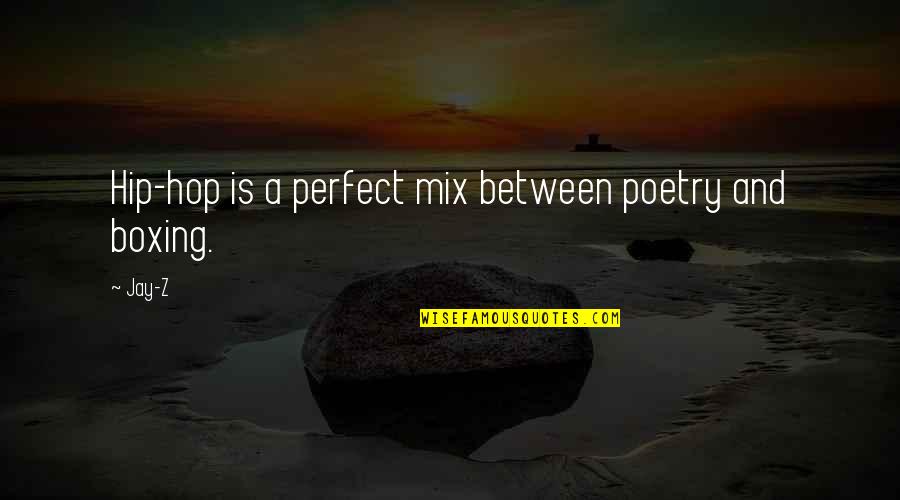 Biocide 100 Quotes By Jay-Z: Hip-hop is a perfect mix between poetry and