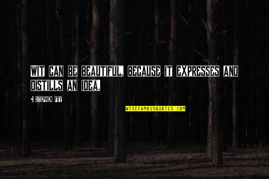 Biocide 100 Quotes By Stephen Fry: Wit can be beautiful, because it expresses and