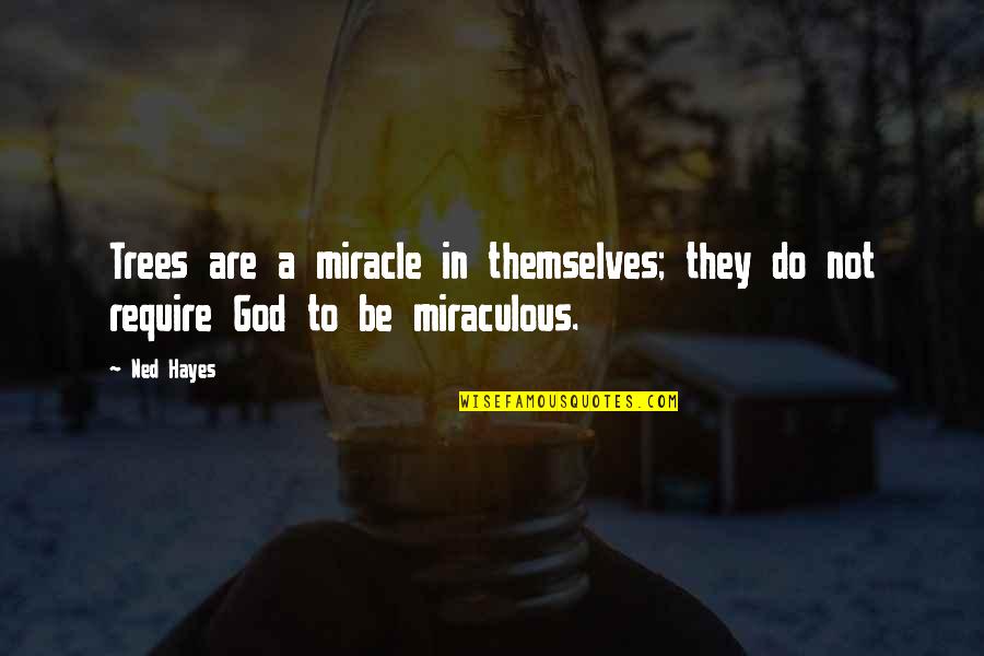 Biodeterminism Quotes By Ned Hayes: Trees are a miracle in themselves; they do