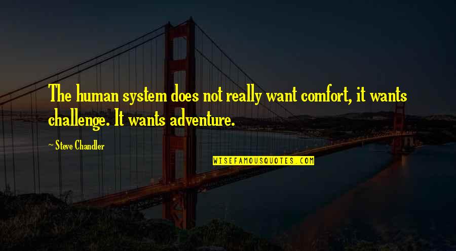 Biodynamic Wine Quotes By Steve Chandler: The human system does not really want comfort, Biodynamic Wine Quotes By Steve Chandler: The human system does not really want comfort,
