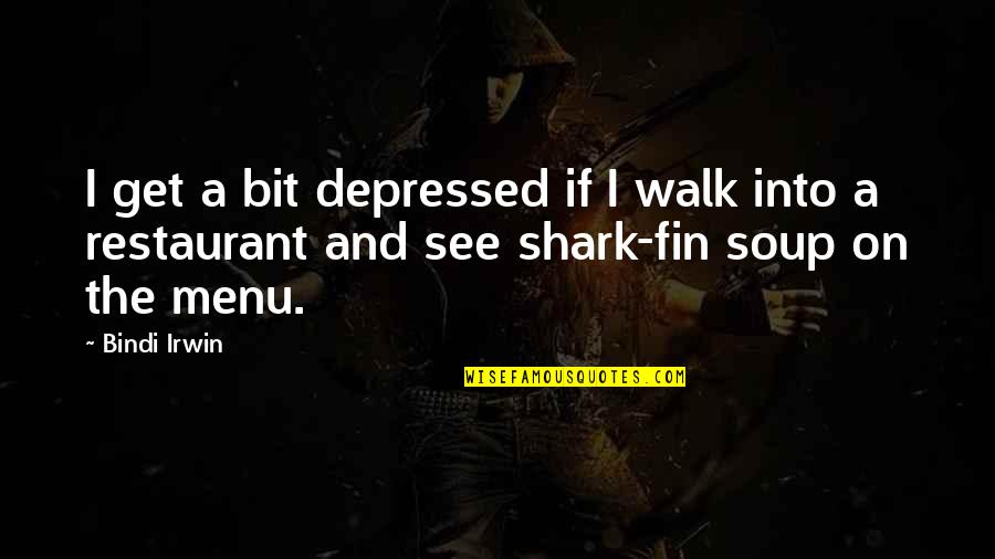 Biol Quotes By Bindi Irwin: I get a bit depressed if I walk