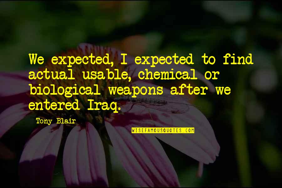 Biological Quotes By Tony Blair: We expected, I expected to find actual usable,