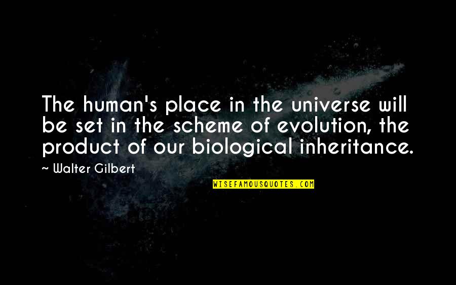 Biological Quotes By Walter Gilbert: The human's place in the universe will be