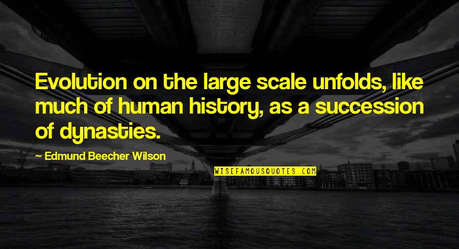 Biology Science Quotes By Edmund Beecher Wilson: Evolution on the large scale unfolds, like much Biology Science Quotes By Edmund Beecher Wilson: Evolution on the large scale unfolds, like much