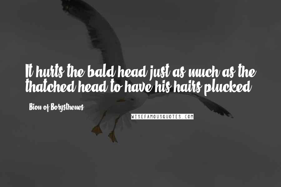 Bion Of Borysthenes quotes: It hurts the bald-head just as much as the thatched-head to have his hairs plucked.