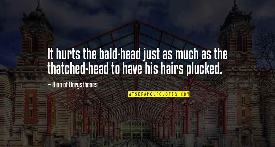Bion Quotes By Bion Of Borysthenes: It hurts the bald-head just as much as