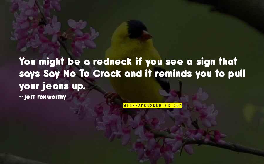 Bionic Eye Quotes By Jeff Foxworthy: You might be a redneck if you see