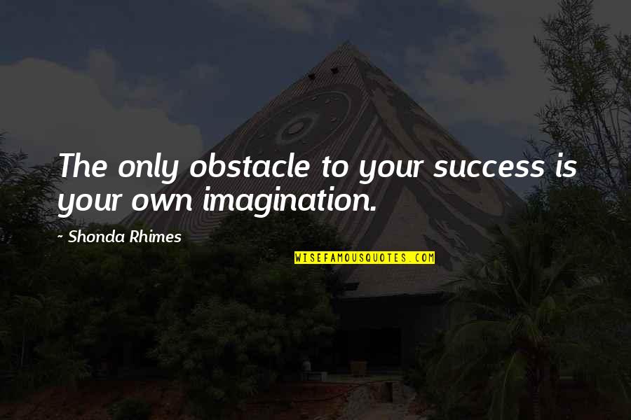 Bionicle Movie Quotes By Shonda Rhimes: The only obstacle to your success is your