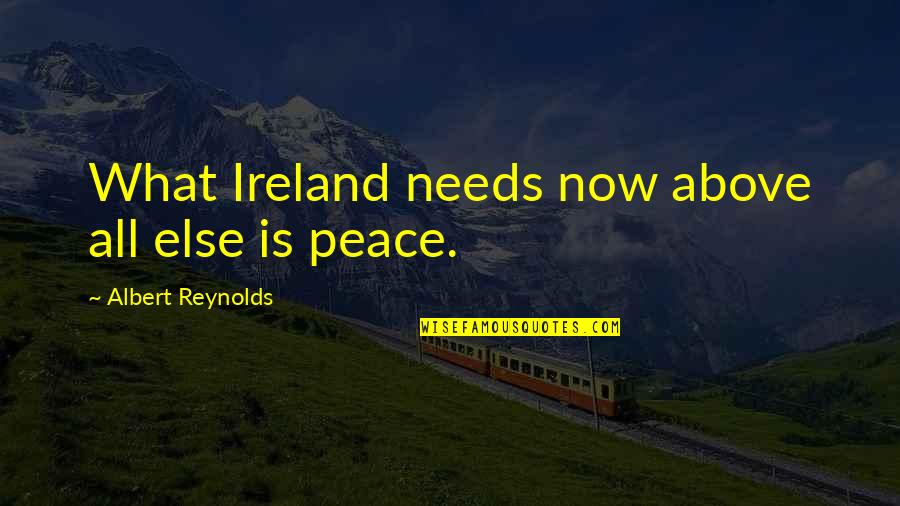 Bioplastics Quotes By Albert Reynolds: What Ireland needs now above all else is