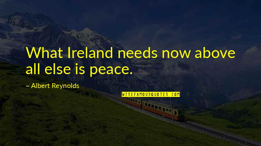 Bioplastics Quotes By Albert Reynolds: What Ireland needs now above all else is Bioplastics Quotes By Albert Reynolds: What Ireland needs now above all else is