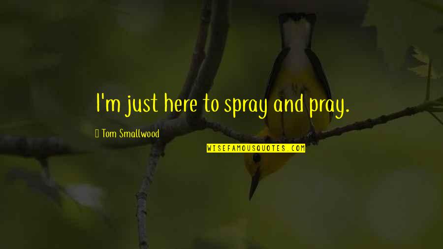 Biopower Foucault Quotes By Tom Smallwood: I'm just here to spray and pray.