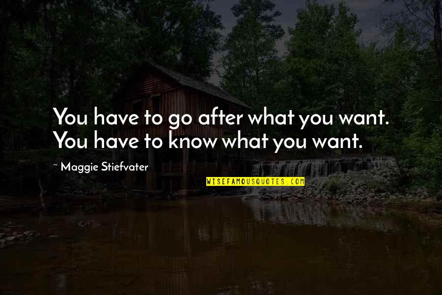 Bioreactors Quotes By Maggie Stiefvater: You have to go after what you want.