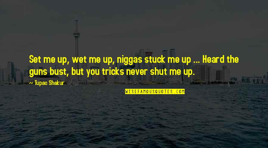 Biosciences Quotes By Tupac Shakur: Set me up, wet me up, niggas stuck Biosciences Quotes By Tupac Shakur: Set me up, wet me up, niggas stuck