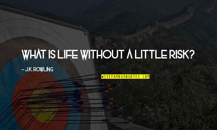 Biotech Funny Quotes By J.K. Rowling: What is life without a little risk? Biotech Funny Quotes By J.K. Rowling: What is life without a little risk?
