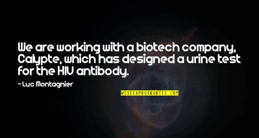 Biotech Quotes By Luc Montagnier: We are working with a biotech company, Calypte, Biotech Quotes By Luc Montagnier: We are working with a biotech company, Calypte,