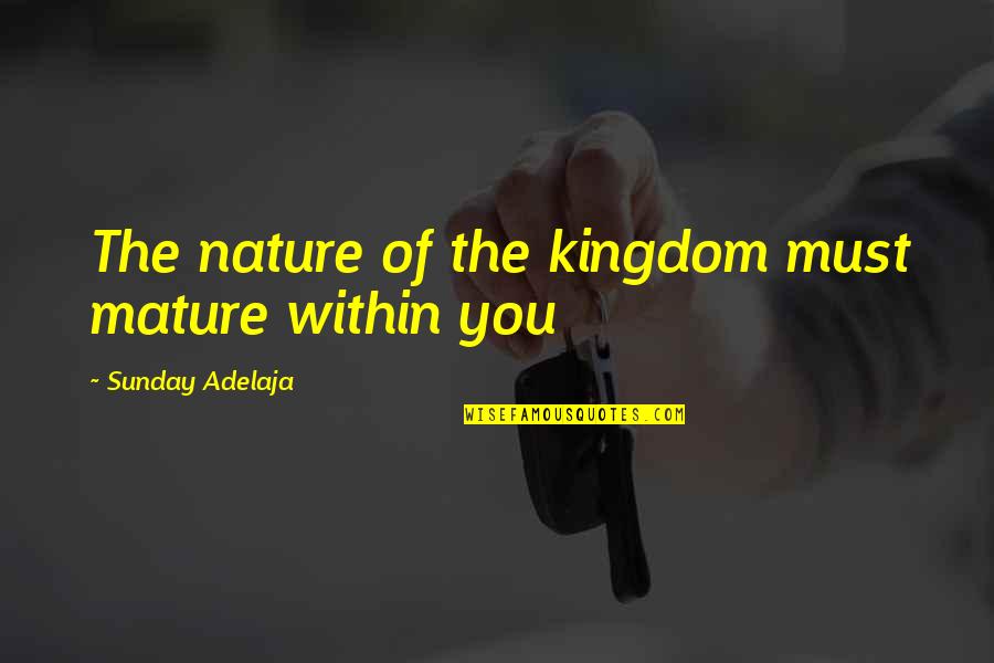 Bioterrorist Incidents Quotes By Sunday Adelaja: The nature of the kingdom must mature within