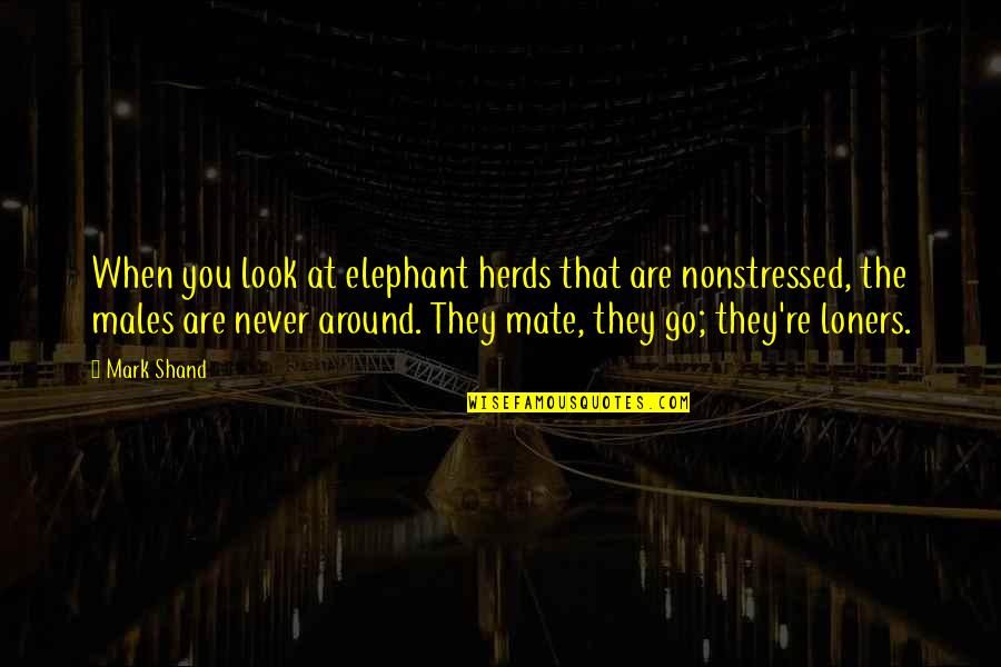 Bipolar Psychosis Quotes By Mark Shand: When you look at elephant herds that are
