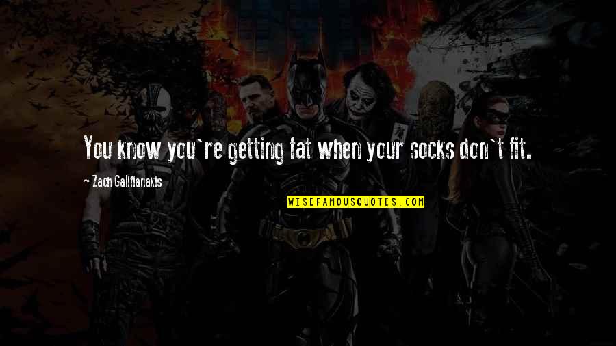 Bippert Farms Quotes By Zach Galifianakis: You know you're getting fat when your socks Bippert Farms Quotes By Zach Galifianakis: You know you're getting fat when your socks