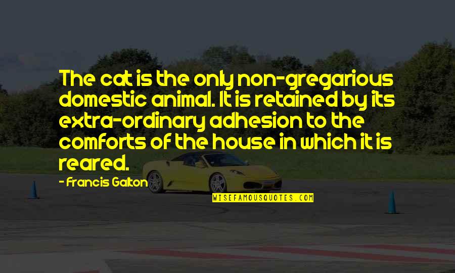 Birakma Elimi Quotes By Francis Galton: The cat is the only non-gregarious domestic animal. Birakma Elimi Quotes By Francis Galton: The cat is the only non-gregarious domestic animal.