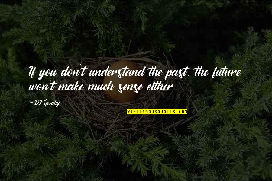 Biramor Quotes By DJ Spooky: If you don't understand the past, the future