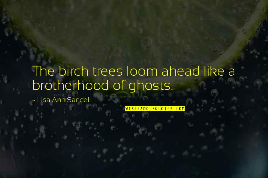 Birch Trees Quotes By Lisa Ann Sandell: The birch trees loom ahead like a brotherhood