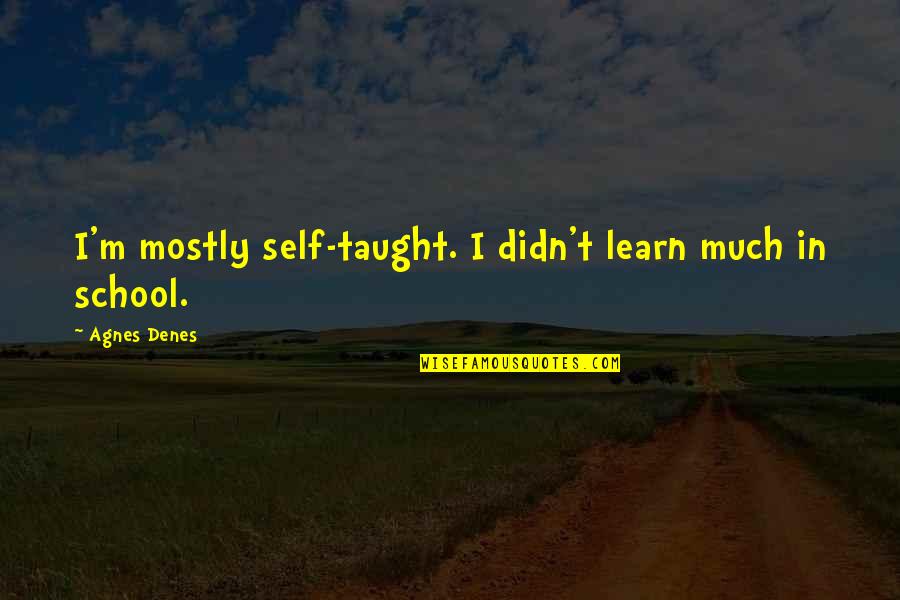 Birchen Quotes By Agnes Denes: I'm mostly self-taught. I didn't learn much in Birchen Quotes By Agnes Denes: I'm mostly self-taught. I didn't learn much in