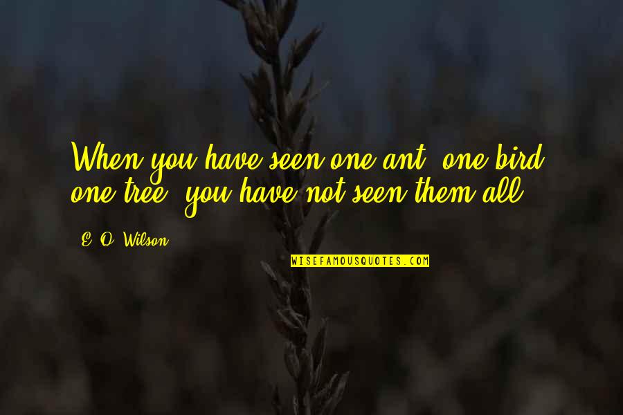 Bird And Nature Quotes By E. O. Wilson: When you have seen one ant, one bird,