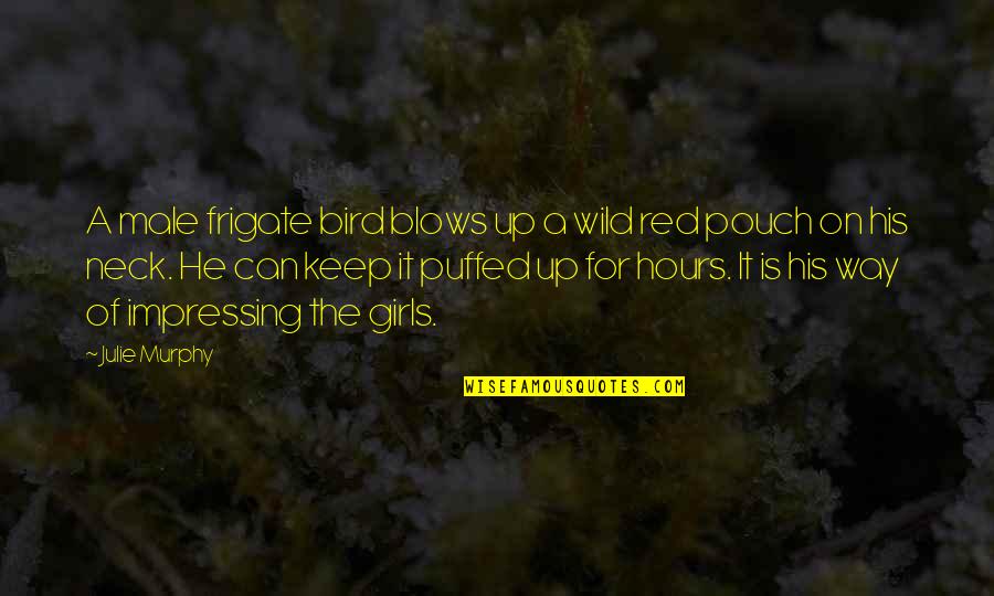 Bird And Nature Quotes By Julie Murphy: A male frigate bird blows up a wild Bird And Nature Quotes By Julie Murphy: A male frigate bird blows up a wild