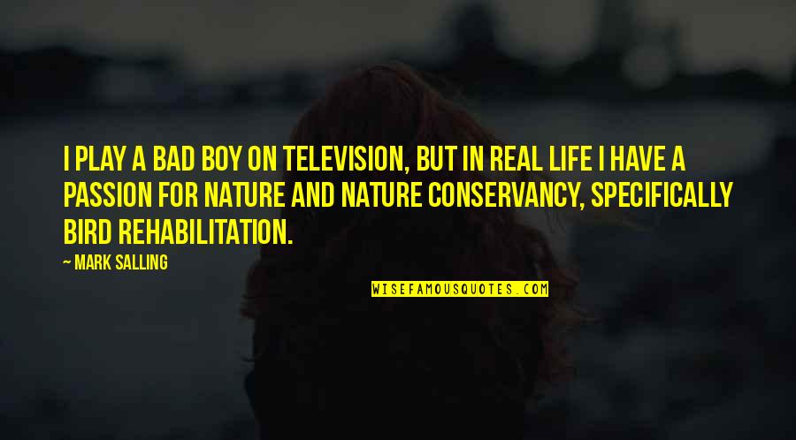 Bird And Nature Quotes By Mark Salling: I play a bad boy on television, but Bird And Nature Quotes By Mark Salling: I play a bad boy on television, but