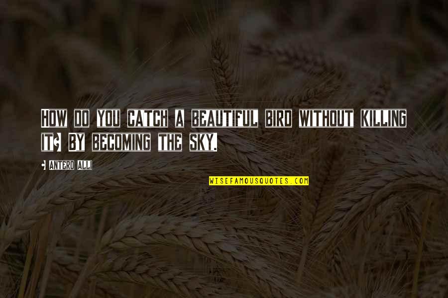 Bird And Sky Quotes By Antero Alli: How do you catch a beautiful bird without