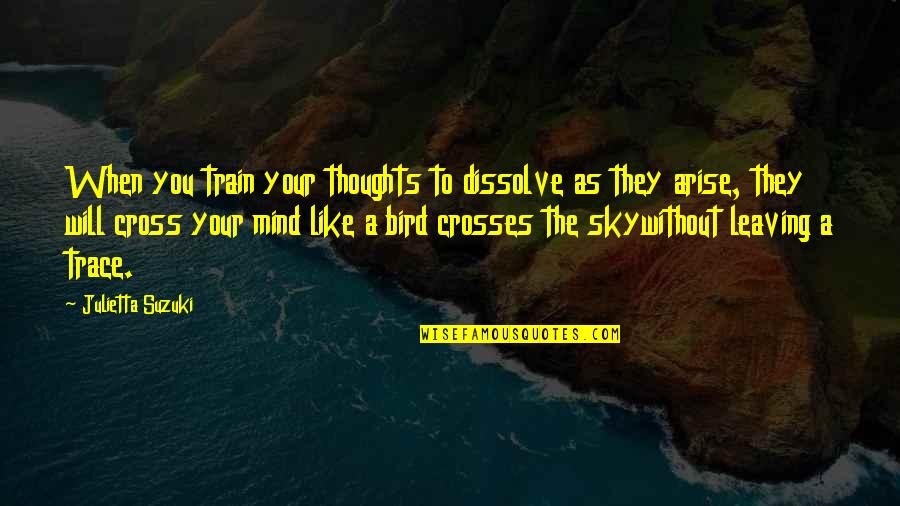 Bird And Sky Quotes By Julietta Suzuki: When you train your thoughts to dissolve as Bird And Sky Quotes By Julietta Suzuki: When you train your thoughts to dissolve as