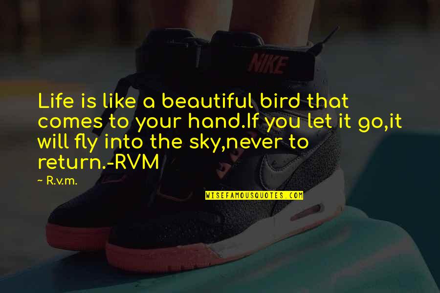 Bird And Sky Quotes By R.v.m.: Life is like a beautiful bird that comes Bird And Sky Quotes By R.v.m.: Life is like a beautiful bird that comes
