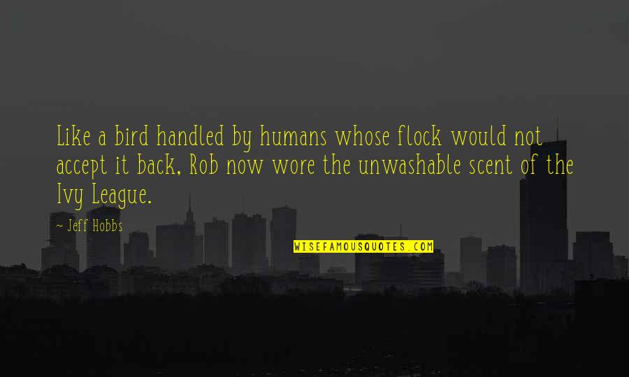 Bird By Bird Quotes By Jeff Hobbs: Like a bird handled by humans whose flock Bird By Bird Quotes By Jeff Hobbs: Like a bird handled by humans whose flock