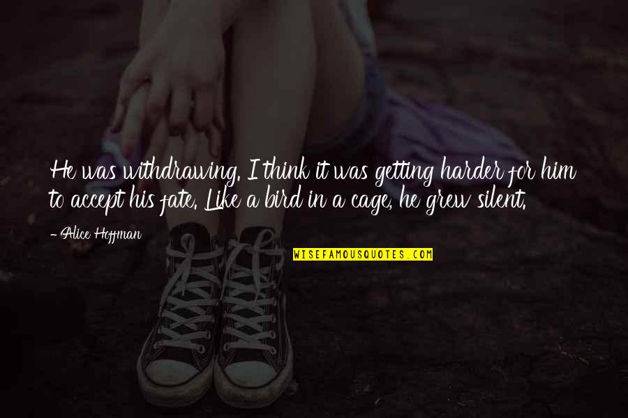 Bird Cage Quotes By Alice Hoffman: He was withdrawing. I think it was getting Bird Cage Quotes By Alice Hoffman: He was withdrawing. I think it was getting