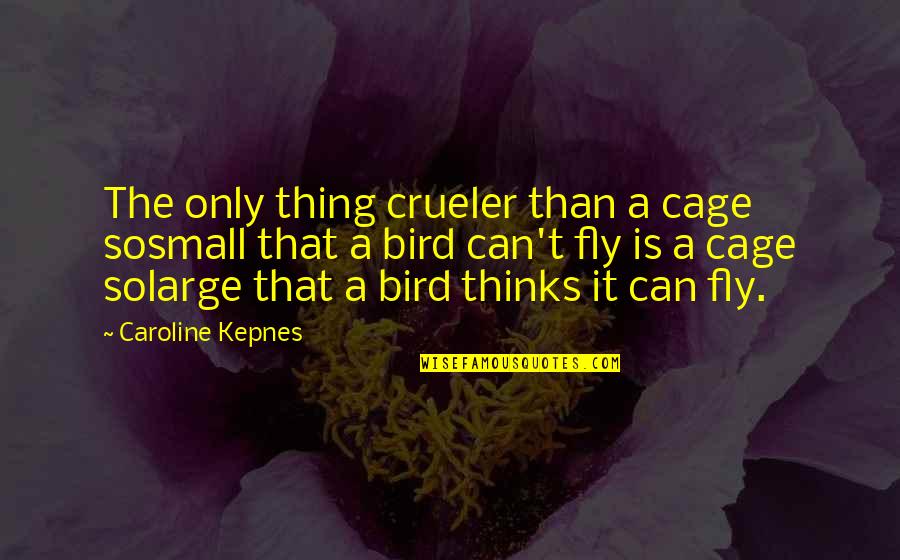 Bird Cage Quotes By Caroline Kepnes: The only thing crueler than a cage sosmall