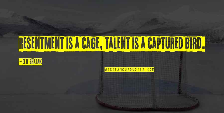 Bird Cage Quotes By Elif Shafak: Resentment is a cage, talent is a captured