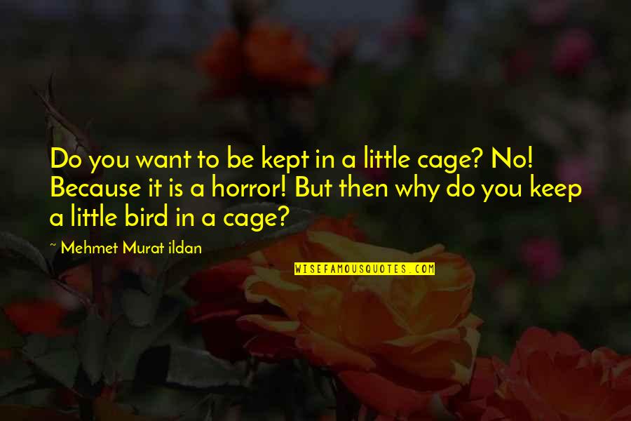 Bird Cage Quotes By Mehmet Murat Ildan: Do you want to be kept in a