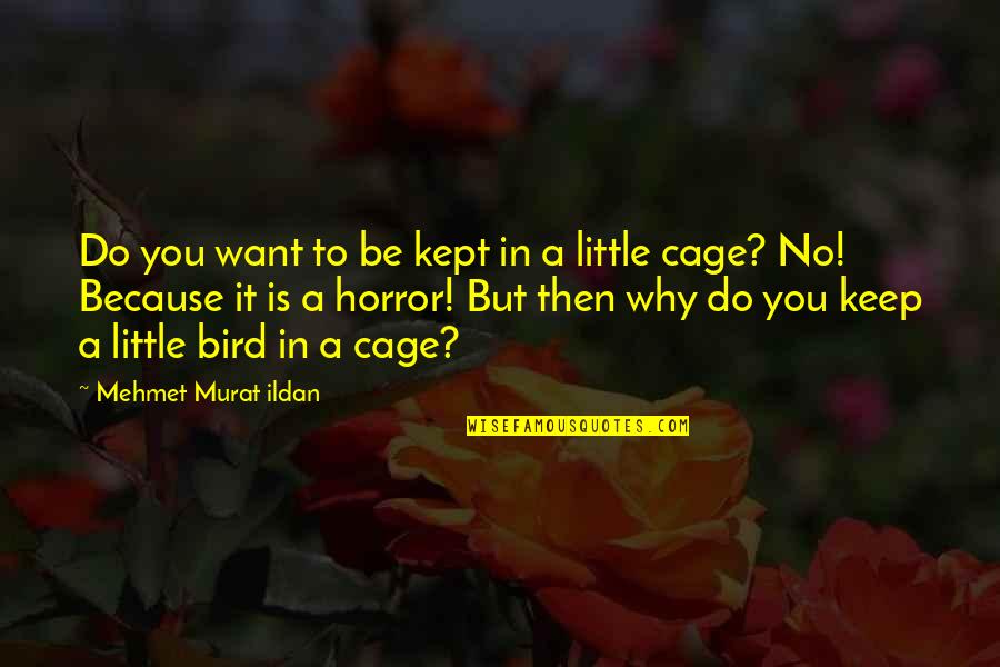 Bird Cage Quotes By Mehmet Murat Ildan: Do you want to be kept in a Bird Cage Quotes By Mehmet Murat Ildan: Do you want to be kept in a