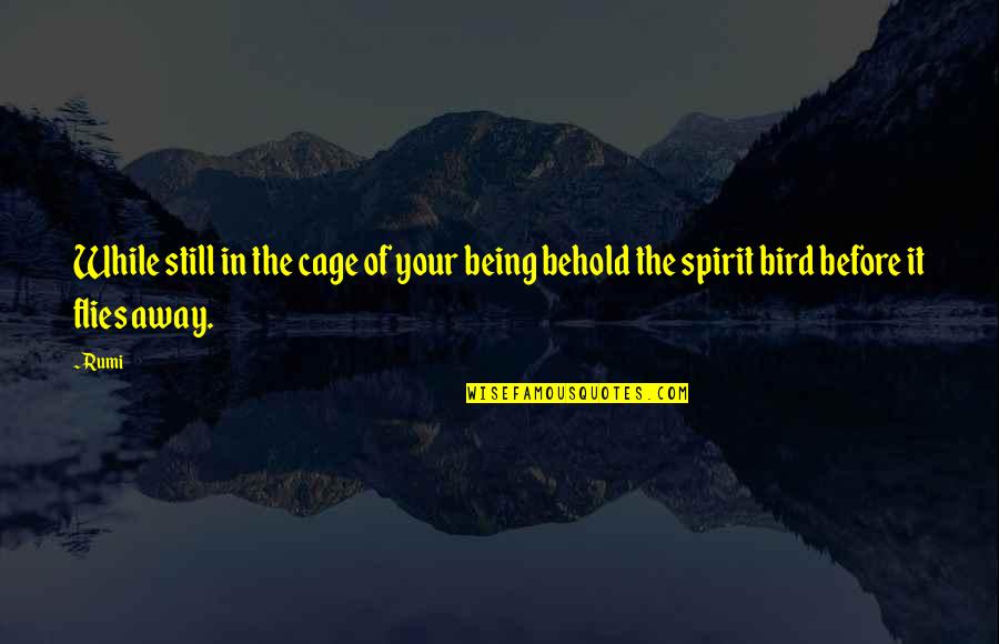 Bird Cage Quotes By Rumi: While still in the cage of your being Bird Cage Quotes By Rumi: While still in the cage of your being