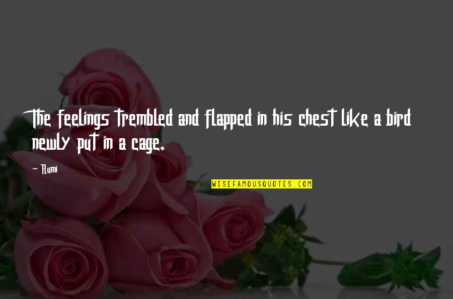 Bird Cage Quotes By Rumi: The feelings trembled and flapped in his chest Bird Cage Quotes By Rumi: The feelings trembled and flapped in his chest