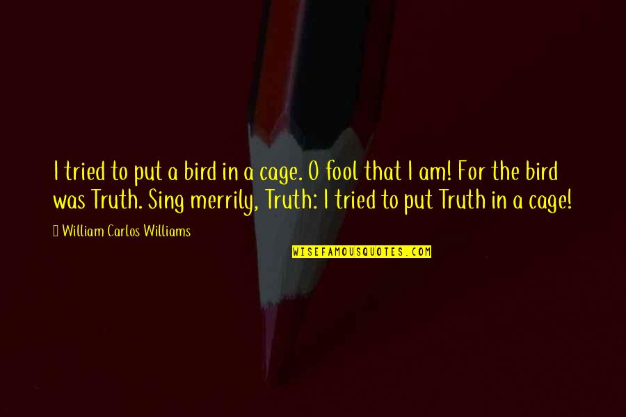 Bird Cage Quotes By William Carlos Williams: I tried to put a bird in a