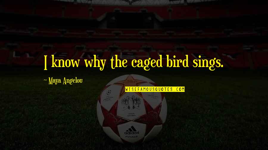 Bird Caged Quotes By Maya Angelou: I know why the caged bird sings.