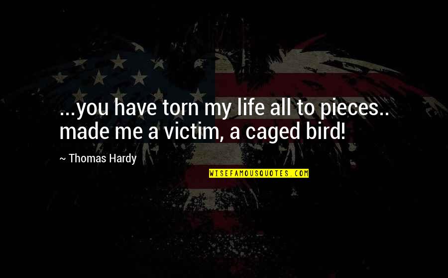 Bird Caged Quotes By Thomas Hardy: ...you have torn my life all to pieces..