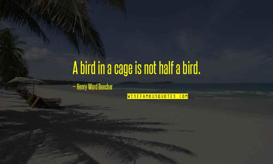 Bird Cages Quotes By Henry Ward Beecher: A bird in a cage is not half Bird Cages Quotes By Henry Ward Beecher: A bird in a cage is not half