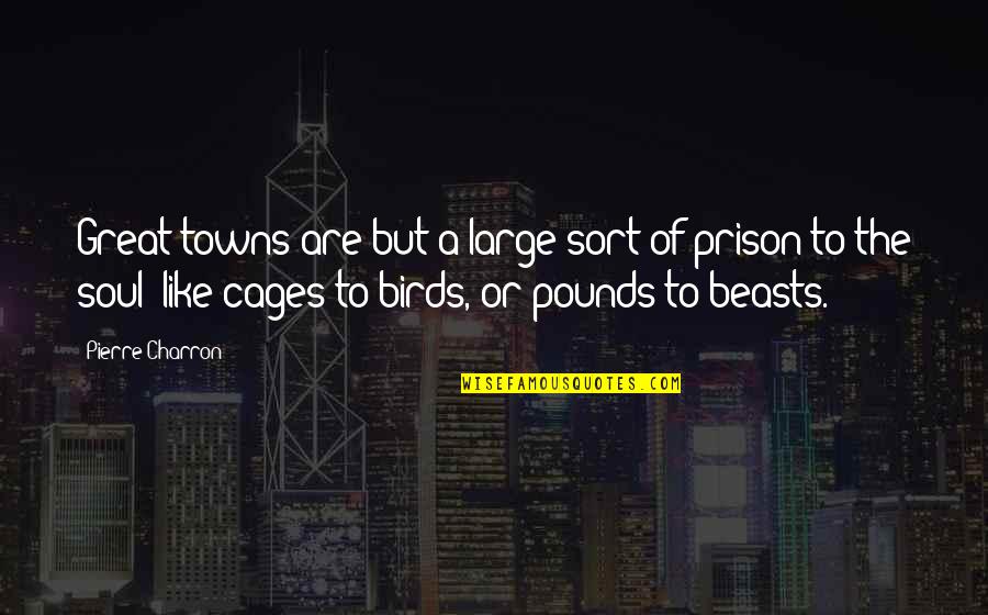 Bird Cages Quotes By Pierre Charron: Great towns are but a large sort of