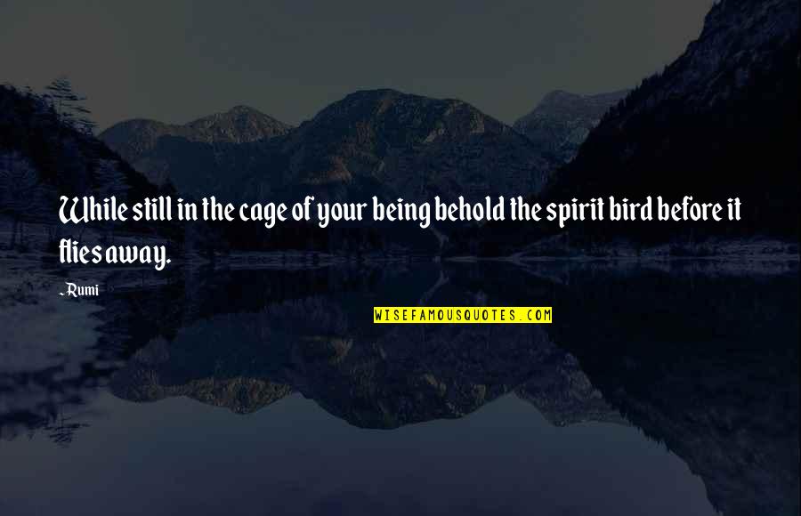 Bird Cages Quotes By Rumi: While still in the cage of your being