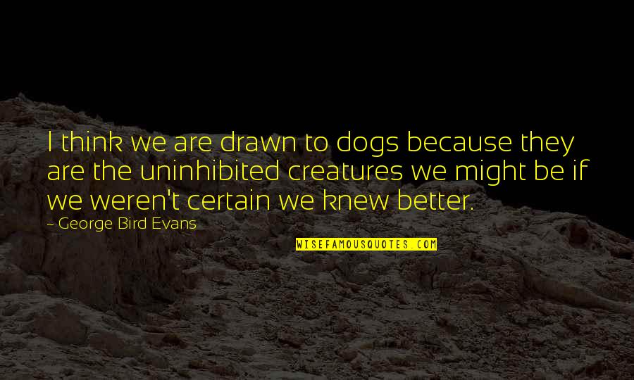 Bird Dog Quotes By George Bird Evans: I think we are drawn to dogs because